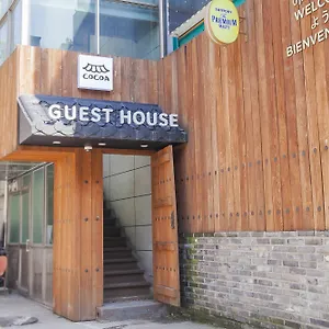 Cocoa ** Seoul
