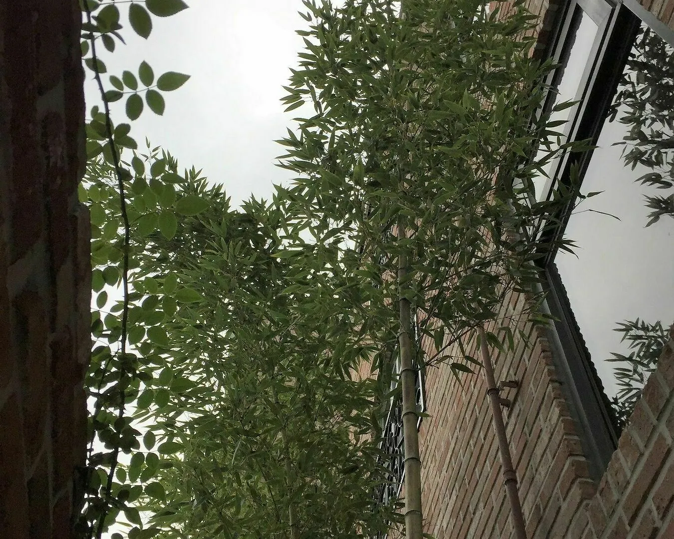 Red Stone Guesthouse 서울특별시 3*,  대한민국